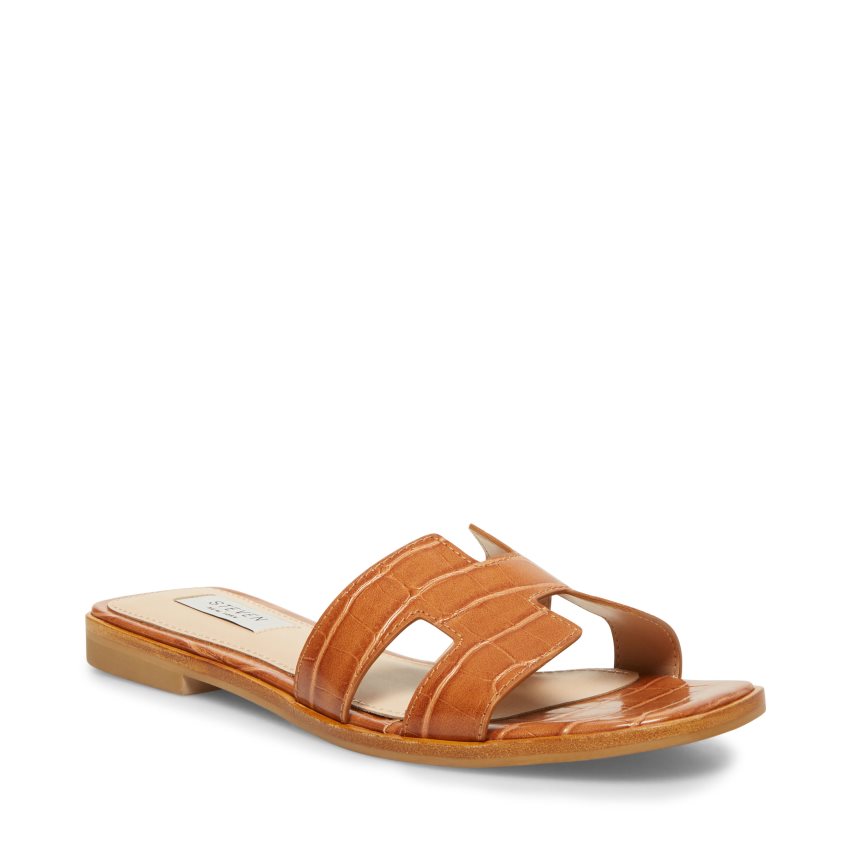 Sandalias de Diapositivas Steve Madden Hadyn Mujer Marrones | ES BV6S9E